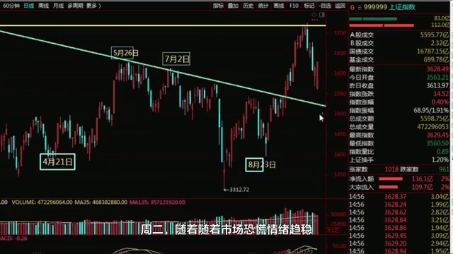 包含开发者社区动态显示，比特币交易量再创新高的词条